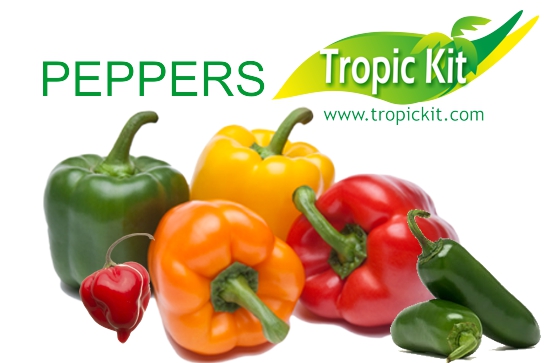PEPPERS TROPIC KIT