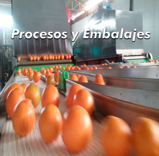 Processes