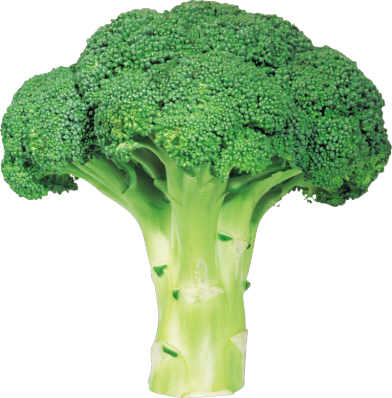 Broccoli and Cauliflower 2