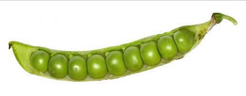 Green Peas 1