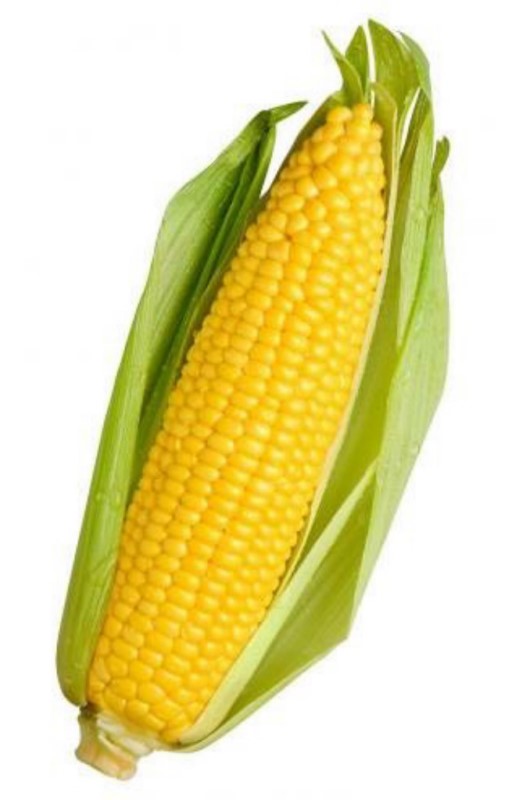 Sweet Yellow Corn Kernel 1