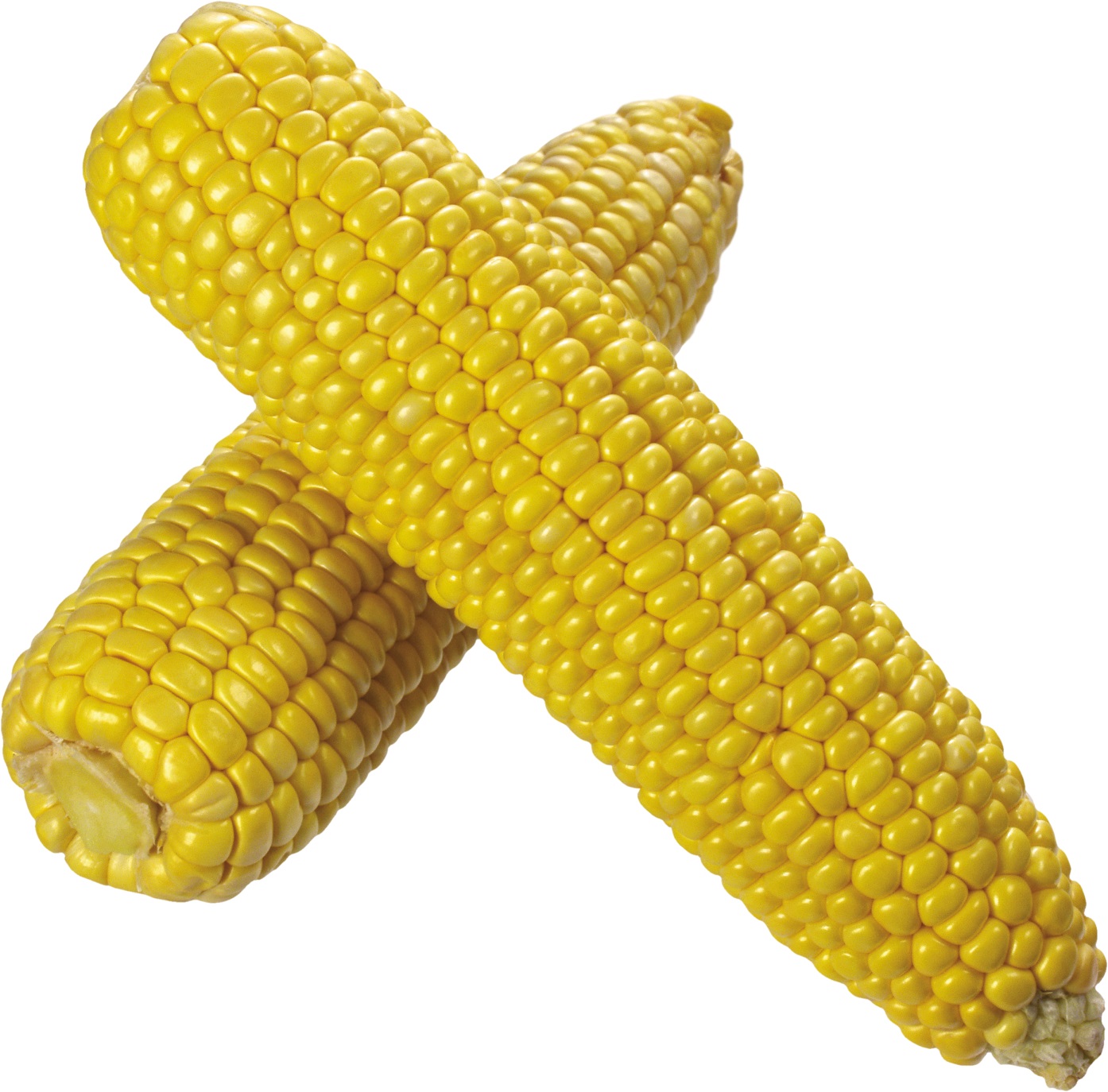 Corn 27