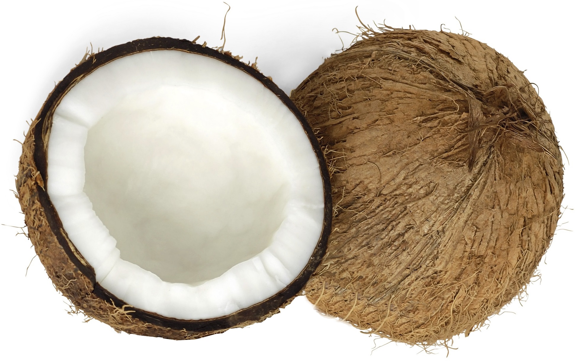 coconut dry