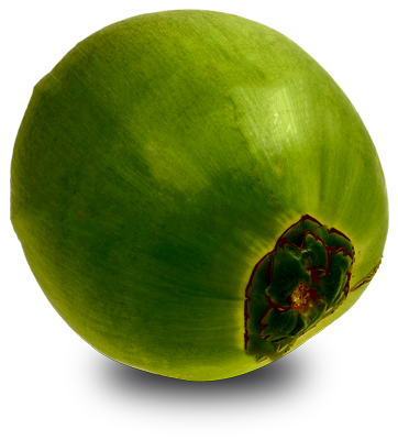 greencoconut