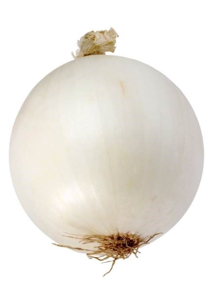 onion white