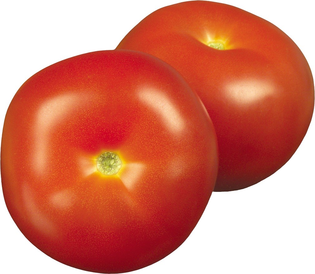 tomate roma